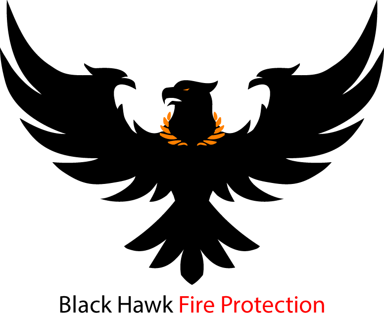 Black Hawk Logo